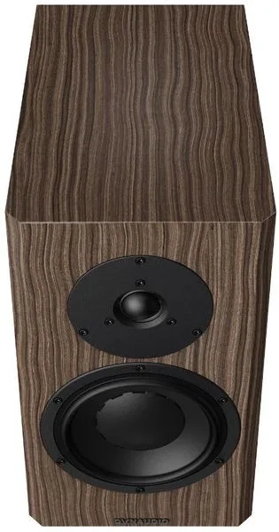 Dynaudio Forty — vue 2