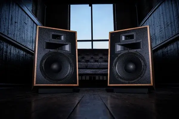 Klipsch Heresy IV — vue 6