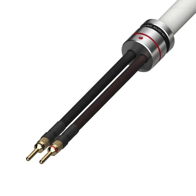 Viard Audio HD20 2x3m — vue 1