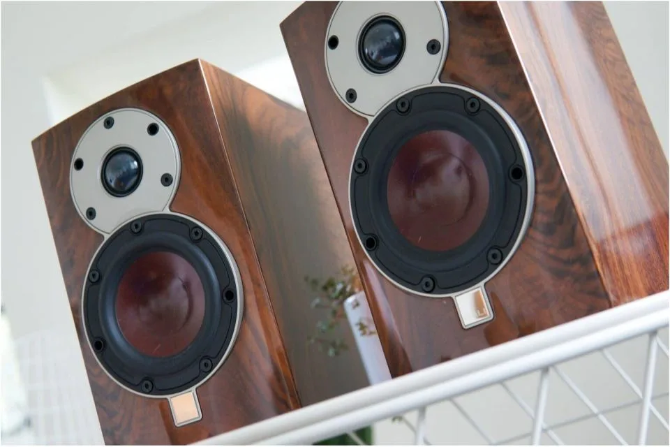 Menuet Special Edition, vue 2