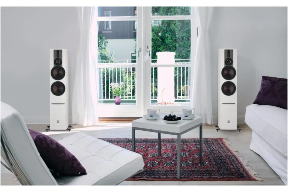 Rubicon 6C + Sound HUB + NPM2I, vue 3