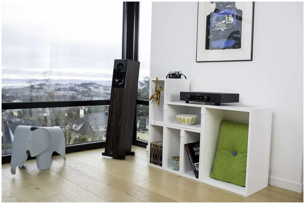 Hegel H95 Amplificateur intégré stéréo — vue 3