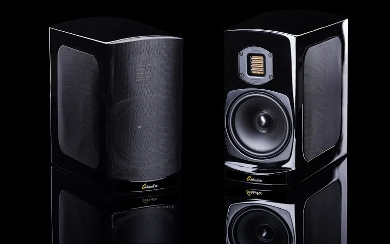 GoldenEar BRX Enceintes bibliothèque 2 voies compacte ultra performante — vue 1
