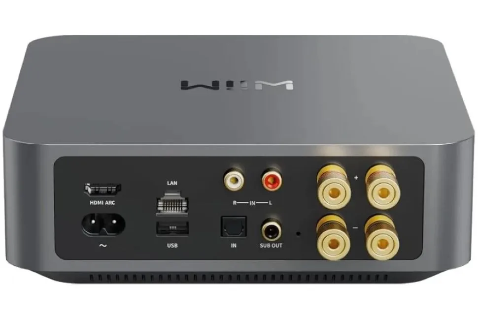 WiiM Amp — vue 2