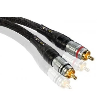 Expérience RCA, vue 1