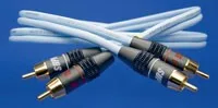 Dual RCA, vue 1
