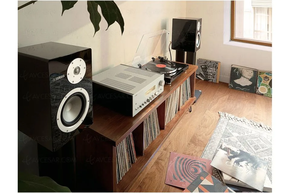 NS-3000, vue 3