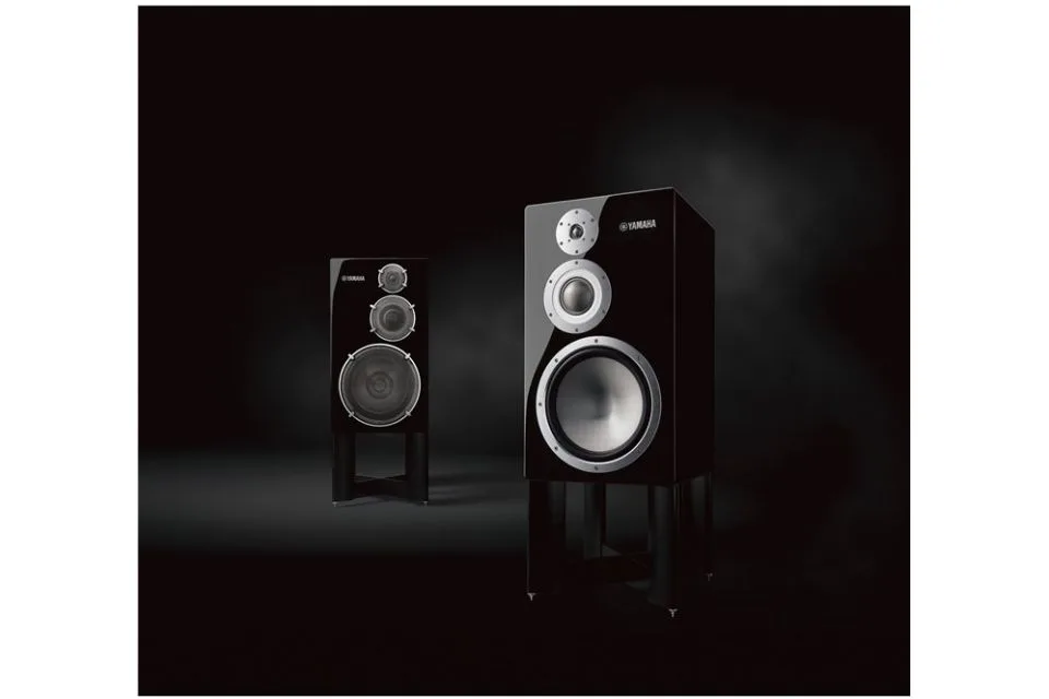 NS-5000, vue 4