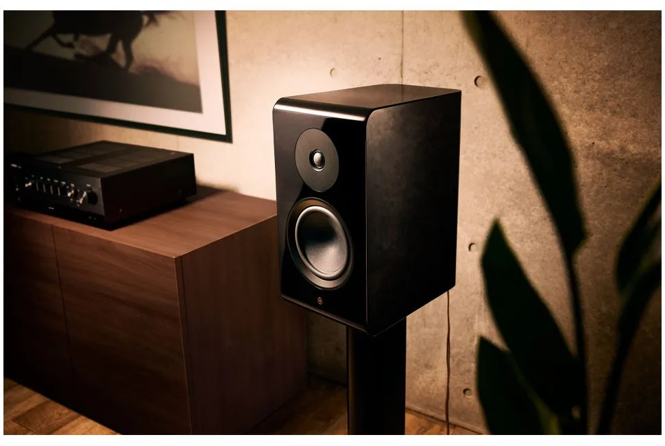 NS-800A, vue 4