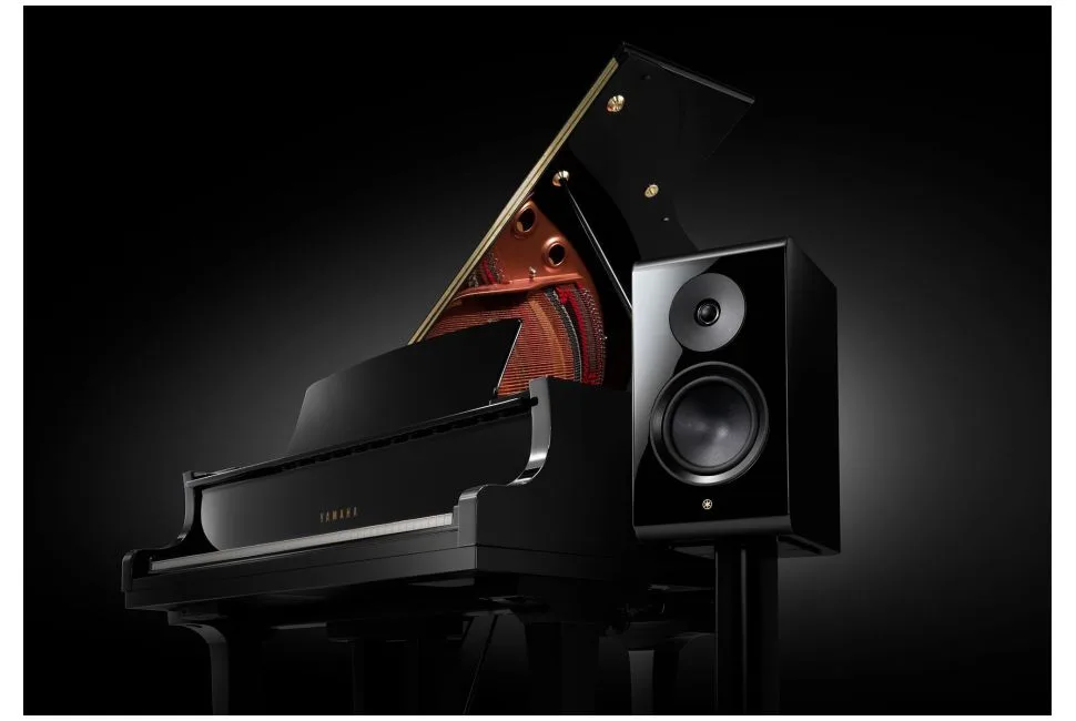 NS-800A, vue 3